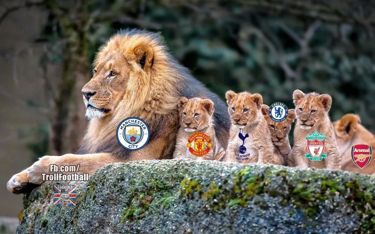 九游体育柔道赛场再起风云：祁连青龙队险胜漠南火狐队，赛场气氛火爆豪门底蕴再次显现的简单介绍